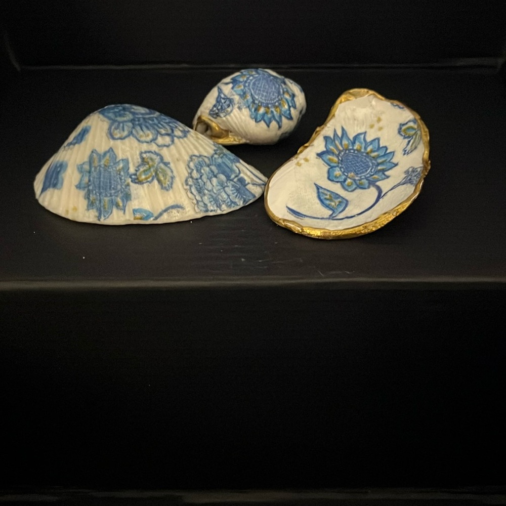 SEASHELLS for decoration